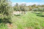 Zemljiste, Bale, prodaja, 240000 €, 16169 m2