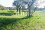 Zemljiste, Bale, prodaja, 240000 €, 16169 m2