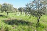 Zemljiste, Bale, prodaja, 240000 €, 16169 m2