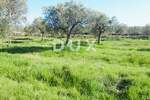 Zemljiste, Bale, prodaja, 240000 €, 16169 m2