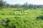 Zemljiste, Bale, prodaja, 240000 €, 16169 m2