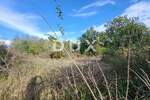 Zemljiste, Žminj, prodaja, 399000 €, 7975 m2