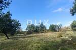 Zemljiste, Umag, prodaja, 185000 €, 3551 m2