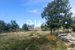Zemljiste, Umag, prodaja, 185000 €, 3551 m2