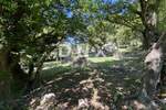 Zemljiste, Vinodol, Grižane-Belgrad, prodaja, 68000 €, 1000 m2