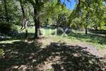 Zemljiste, Vinodol, Grižane-Belgrad, prodaja, 68000 €, 1000 m2