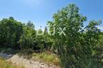 Zemljiste, Buzet, Sovinjak, prodaja, 15000 €, 868 m2