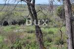 Zemljiste, Bale, prodaja, 40000 €, 6654 m2