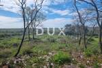 Zemljiste, Bale, prodaja, 40000 €, 6654 m2