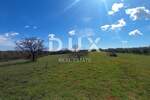 Zemljiste, Marčana, Cokuni, prodaja, 88500 €, 10956 m2