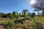Zemljiste, Žminj, prodaja, 70000 €, 1676 m2