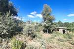 Zemljiste, Marčana, Peruški, prodaja, 65000 €, 2118 m2