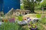 Zemljiste, Barban, prodaja, 675000 €, 13000 m2