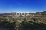 Zemljiste, Motovun, Kaldir, prodaja, 50000 €, 9500 m2