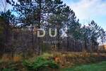 Zemljiste, Cerovlje, Paz, prodaja, 315000 €, 4834 m2