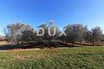 Zemljiste, Novigrad, prodaja, 241000 €, 9632 m2
