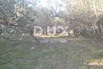 Zemljiste, Krk, prodaja, 1560000 €, 5007 m2