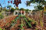 Kuca, Poreč, prodaja, 758000 €, 420 m2