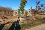 Zemljiste, Gračišće, Jakačići, prodaja, 240000 €, 6000 m2
