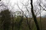 Zemljiste, Matulji, prodaja, 380000 €, 2838 m2