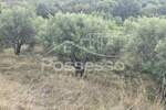 Zemljiste, Cerovlje, Draguć, prodaja, 105000 €, 232 m2