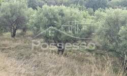 Zemljiste, Cerovlje, Draguć, prodaja, 105000 €, 232 m2