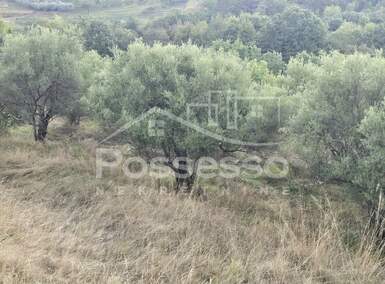 Zemljiste, Cerovlje, Draguć, prodaja, 105000 €, 232 m2