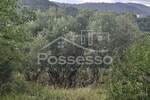 Zemljiste, Cerovlje, Draguć, prodaja, 105000 €, 232 m2