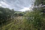 Zemljiste, Cerovlje, Draguć, prodaja, 105000 €, 232 m2