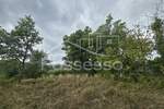 Zemljiste, Cerovlje, Draguć, prodaja, 105000 €, 232 m2
