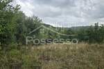 Zemljiste, Cerovlje, Draguć, prodaja, 105000 €, 232 m2