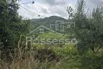 Kuca, Cerovlje, Draguć, prodaja, 95000 €, 100 m2
