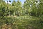 Zemljiste, Buzet, Ročko Polje, prodaja, 136000 €, 1220 m2