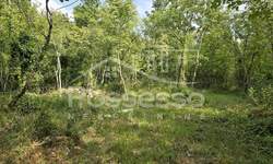 Zemljiste, Buzet, Ročko Polje, prodaja, 136000 €, 1220 m2