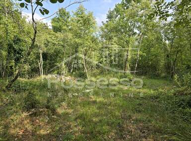 Zemljiste, Buzet, Ročko Polje, prodaja, 136000 €, 1220 m2