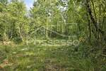 Zemljiste, Buzet, Ročko Polje, prodaja, 136000 €, 1220 m2