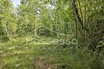 Zemljiste, Buzet, Ročko Polje, prodaja, 136000 €, 1220 m2