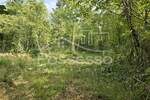 Zemljiste, Buzet, Ročko Polje, prodaja, 136000 €, 1220 m2