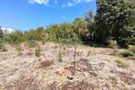Zemljiste, Krk, prodaja, 130000 €, 4100 m2