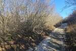 Zemljiste, Krk, Pinezići, prodaja, 75000 €, 2147 m2