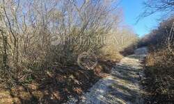 Zemljiste, Krk, Pinezići, prodaja, 75000 €, 2147 m2