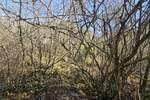 Zemljiste, Krk, Pinezići, prodaja, 75000 €, 2147 m2