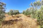 Zemljiste, Krk, prodaja, 1600000 €, 34500 m2