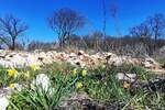Zemljiste, Omišalj, Njivice, prodaja, 360000 €, 735 m2