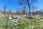 Zemljiste, Omišalj, Njivice, prodaja, 360000 €, 672 m2