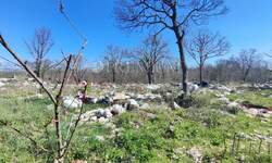 Zemljiste, Omišalj, Njivice, prodaja, 295000 €, 546 m2
