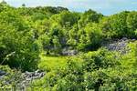 Zemljiste, Vrbnik, prodaja, 332000 €, 4145 m2