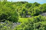 Zemljiste, Vrbnik, prodaja, 332000 €, 4145 m2