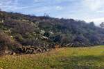 Zemljiste, Dobrinj, Čižići, prodaja, 204000 €, 2039 m2