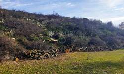 Zemljiste, Dobrinj, Čižići, prodaja, 204000 €, 2039 m2